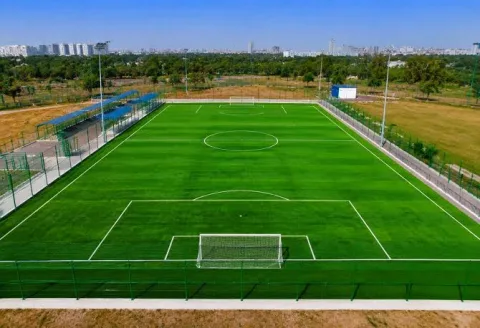 60 mm professional football turf