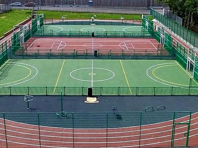 Multi-sport arena with courts and playing surfaces